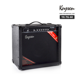 YX-TG-60 吉他音箱