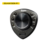 EQ-KAYSEN-P1 多功能拾音器