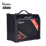 YX-TG-25 吉他音箱